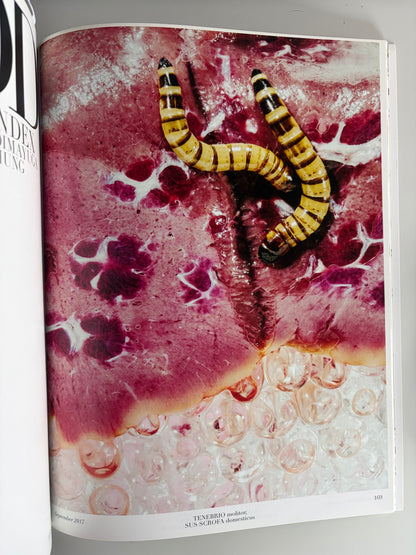 by Eckhaus Latta | 2017 Issue 17 | Fashion Art Design