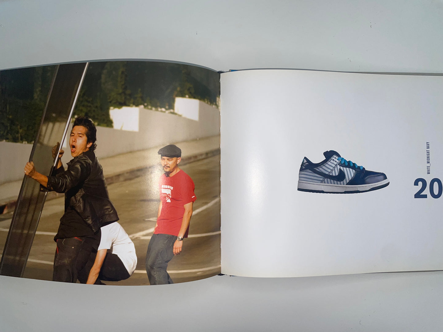 Nothing but the Truth Hardcover Book with DVD