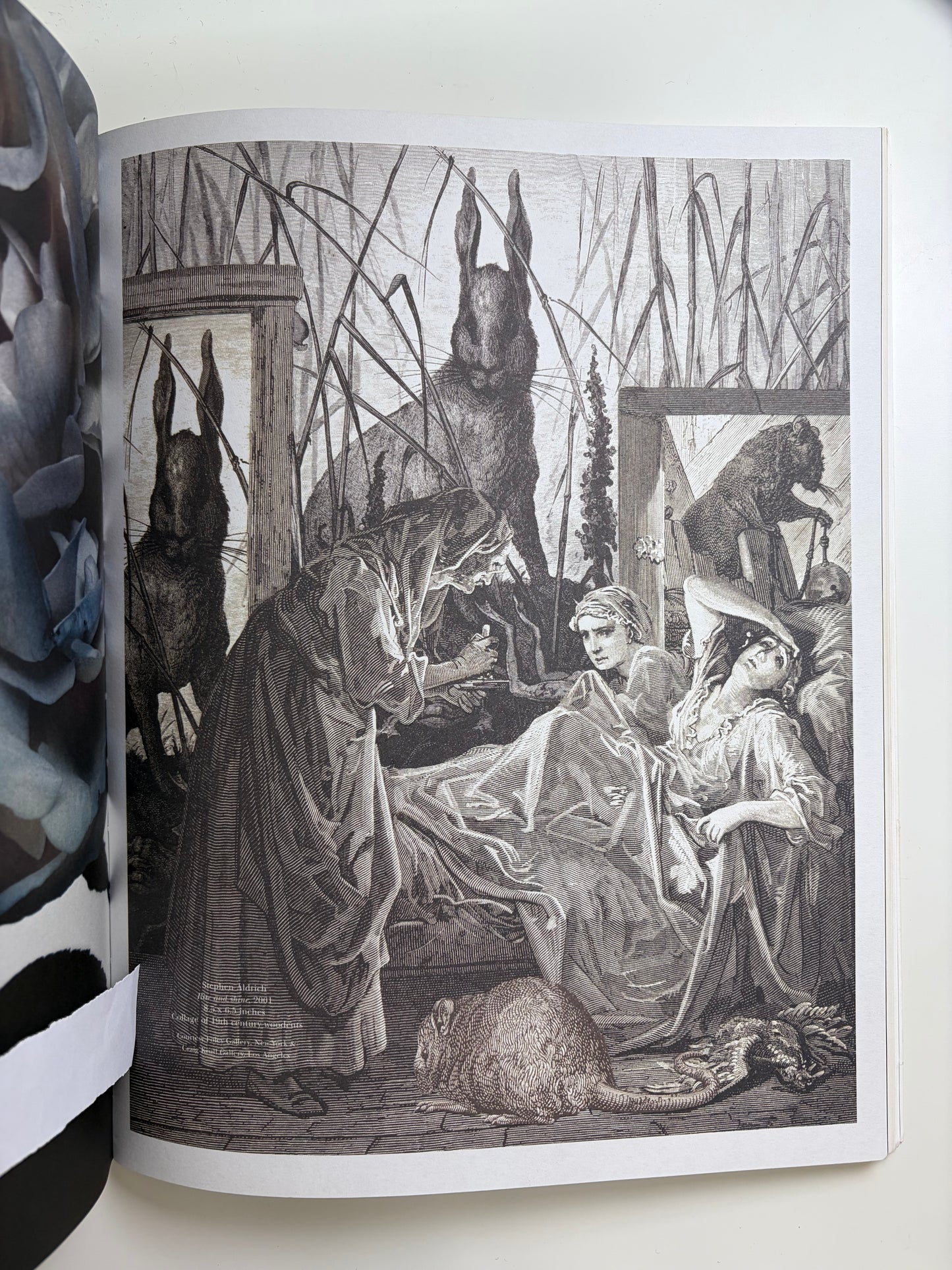 Curated by Martine Sitbon | 2007 Issue #5 | Fashion Magazine