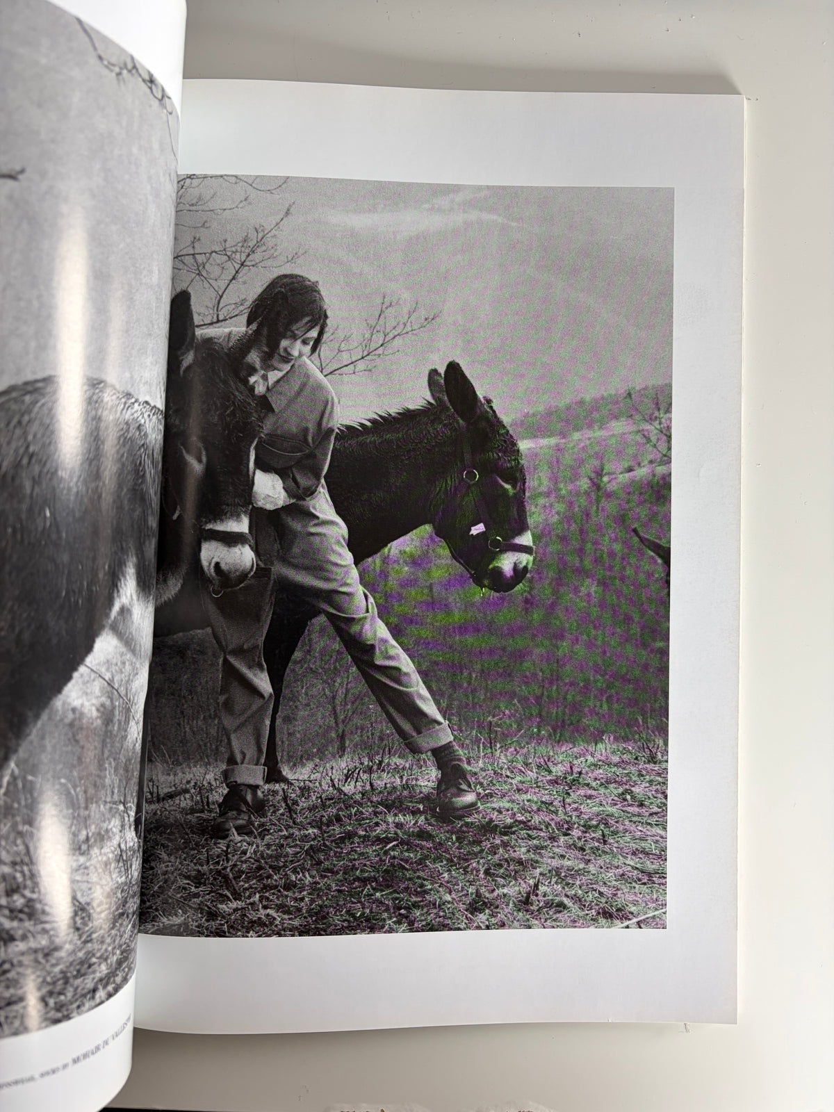 2014 Spring/Summer Issue 18 | Say Lou Lou